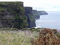 Klify Moher - 037